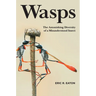 Wasps: The Astonishing Diversity of a Misunderstood Insect