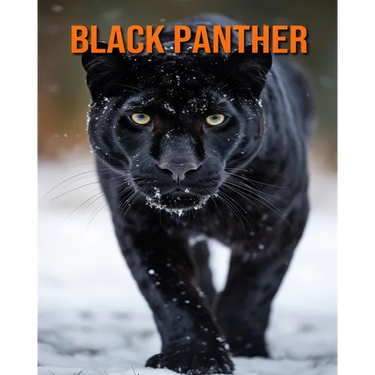 Black Panther: Amazing Photos and Fun Facts Book for kids