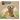 Dogs