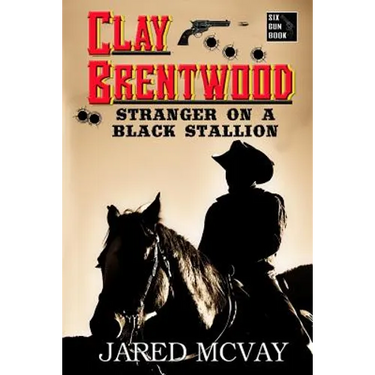 Stranger on a Black Stallion