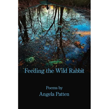 Feeding the Wild Rabbit