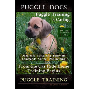 Puggle Dogs, Puggle Training & Caring By D!G THIS DOG TRAINING Obedience - Socializing - Behaviors - Commands - Caring - Dog Training: From the Car Ri