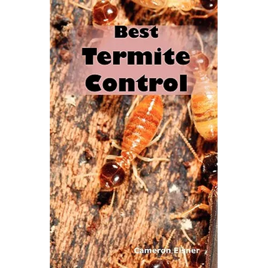 Best Termite Control: All You Need to Know About Termites and How to Get Rid of Them Fast