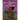 The Mary A. McBride Lee Story: A Child's View from the Foot of the Edmund Pettus Bridge