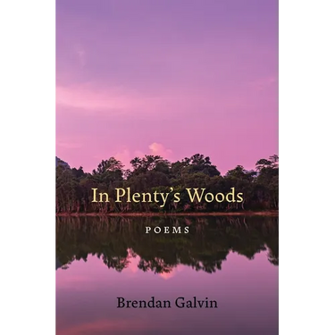 In Plenty's Woods: Poems