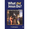 What Did Jesus Do?: Gospel Profiles of Jesus' Personal Conduct