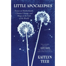 Little Apocalypses: Essays on Motherhood, Climate Change, and Hope at the End of the World