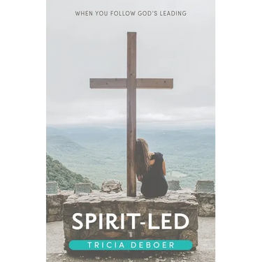 Spirit-Led: When You Follow God's Leading