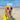Doggies Don't Surf