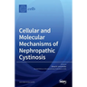 Cellular and Molecular Mechanisms of Nephropathic Cystinosis