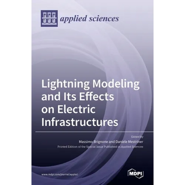 Lightning Modeling and Its Effects on Electric Infrastructures