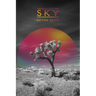 Under a Future Sky