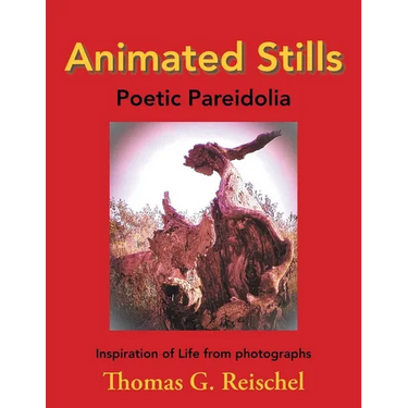 Animated Stills: Poetic Pareidolia