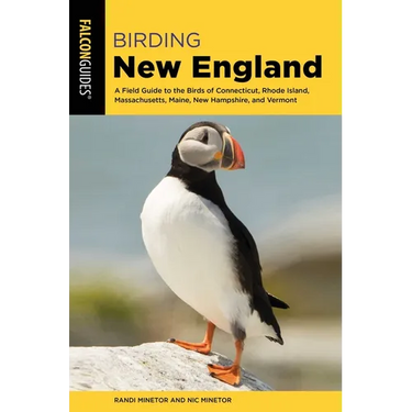 Birding New England