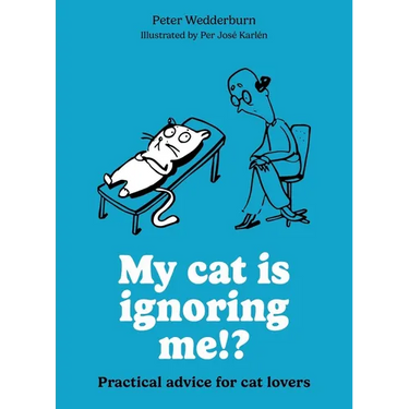 My Cat Is Ignoring Me!?: Practical Advice for Cat Lovers
