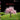 Spring is...: A Joyful Exploration of Spring Through Rhythm, Repetition, and Inclusive Design