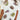 2f41c570-8d76-4ff8-9ec7-6e04ec4ee31b-Max