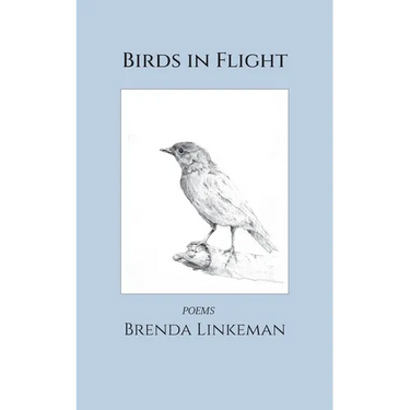 Birds in Flight