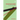 Pakistan's Wars: An Alternative History