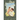 Second Edition