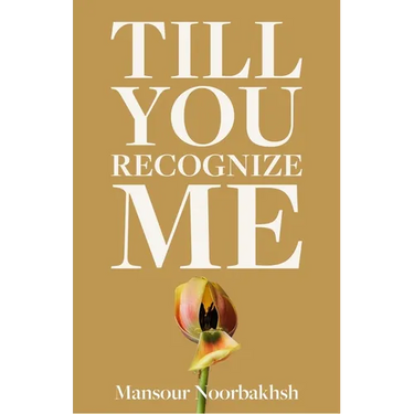 Till You Recognize Me: Poems