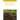 Instant Insights: Regenerative Techniques to Improve Soil Health