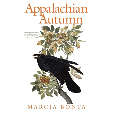 Appalachian Autumn