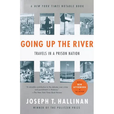 Going Up the River: Travels in a Prison Nation