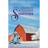 The Cowboy Billionaire's Snowstorm