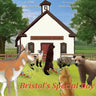 Bristol's Special Day