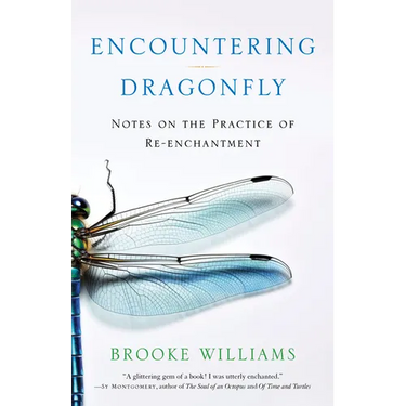 Encountering Dragonfly: Notes on the Practice of Re-Enchantment
