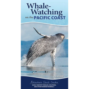 Whale-Watching on the Pacific Coast: Easily Identify Whales, Dolphins, and Other Marine Mammals