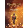 Stealing Fire from the Gods