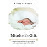 Mitchell's Gift - A parent's perspective on surviving life... with a premature baby in the NICU.