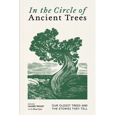 In the Circle of Ancient Trees: Our Oldest Trees and the Stories They Tell