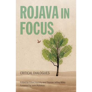 Rojava in Focus: Critical Dialogues