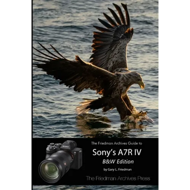 The Friedman Archives Guide to Sony's A7R IV (B&W Edition)