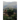In the Shadow of the Annamese Mountains
