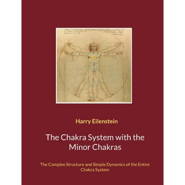 The Chakra System with the Minor Chakras: The Complex Structure and Simple Dynamics of the Entire Chakra System