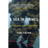A Sea in Flames: The Deepwater Horizon Oil Blowout