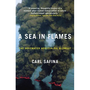 A Sea in Flames: The Deepwater Horizon Oil Blowout