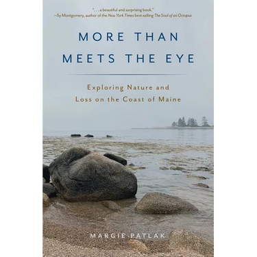More Than Meets the Eye: Exploring Nature and Loss on the Coast of Maine