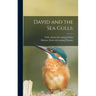 David and the Sea Gulls;