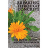 Breaking Through Concrete