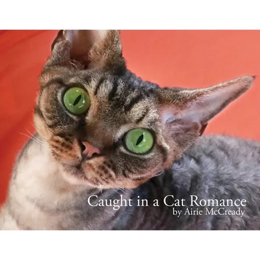 Caught in a Cat Romance