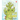 Cactus Home