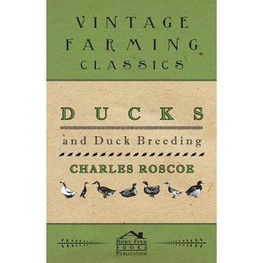 Ducks and Duck Breeding
