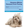 Havanese (Bichon Havanais) Tricks Training Havanese Tricks & Games Training Tracker & Workbook. Includes: Havanese Multi-Level Tricks, Games & Agility