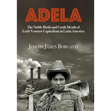 Adela: The Noble Birth and Costly Death of Early Venture Capitalism in Latin America
