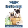 Dog Grooming!: The Ins & Outs of Bathing Your Dog